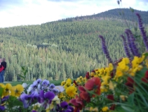 Colorado